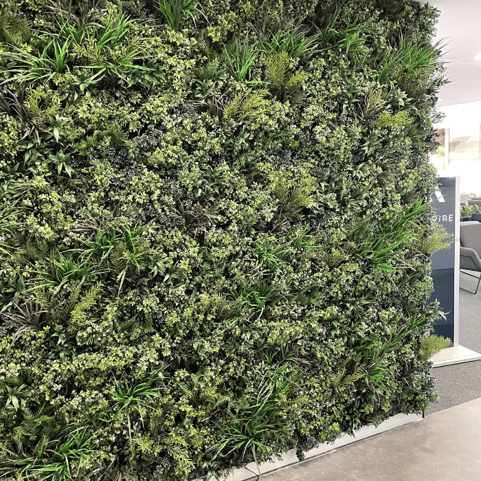 Evergreen Premium | Evergreen Walls
