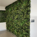 Evergreen Premium | Evergreen Walls