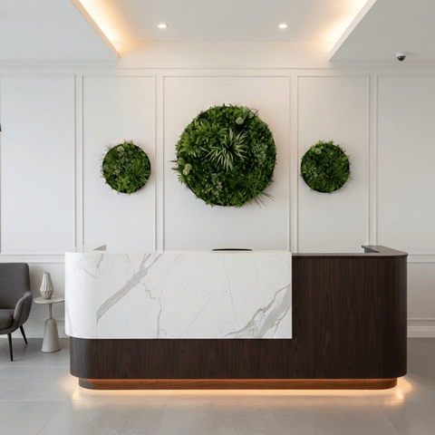 Evergreen Signature Disc Collection | Evergreen Walls