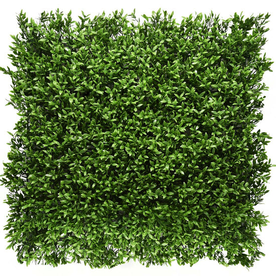 Signature Boxwood Hedge Panel