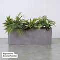 Signature Planter Bundles | Evergreen Walls