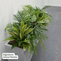 Signature Planter Bundles | Evergreen Walls