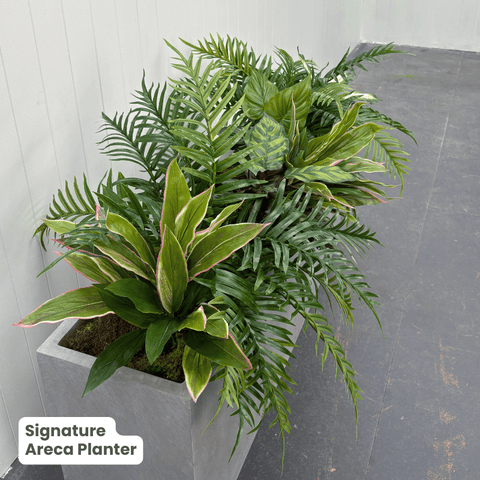 Signature Planter Bundles