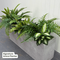 Signature Planter Bundles | Evergreen Walls
