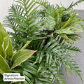 Signature Planter Bundles | Evergreen Walls
