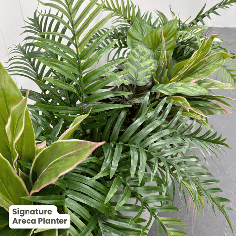 Signature Planter Bundles