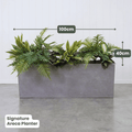 Signature Planter Bundles | Evergreen Walls