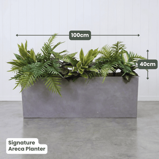 Signature Planter Bundles | Evergreen Walls