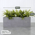Signature Planter Bundles | Evergreen Walls