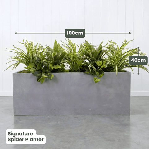 Signature Planter Bundles