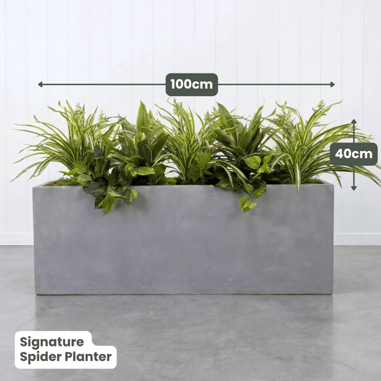 Signature Planter Bundles | Evergreen Walls
