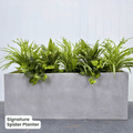 Signature Planter Bundles | Evergreen Walls