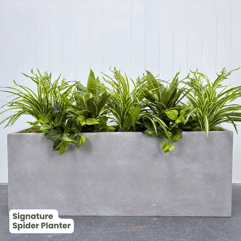 Signature Planter Bundles