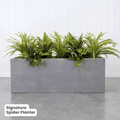 Signature Planter Bundles | Evergreen Walls