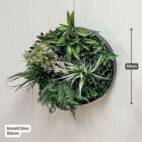 Evergreen Signature Disc Collection | Evergreen Walls