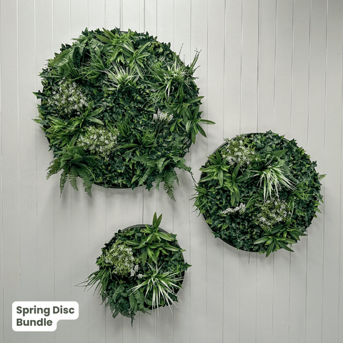 Evergreen Signature Disc Collection | Evergreen Walls