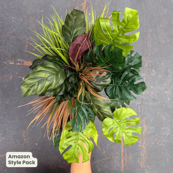 Premium Amazon | Evergreen Walls