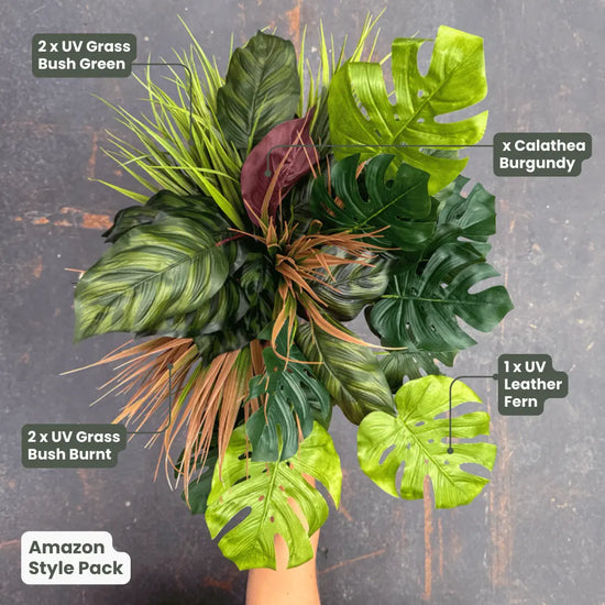 Premium Amazon | Evergreen Walls