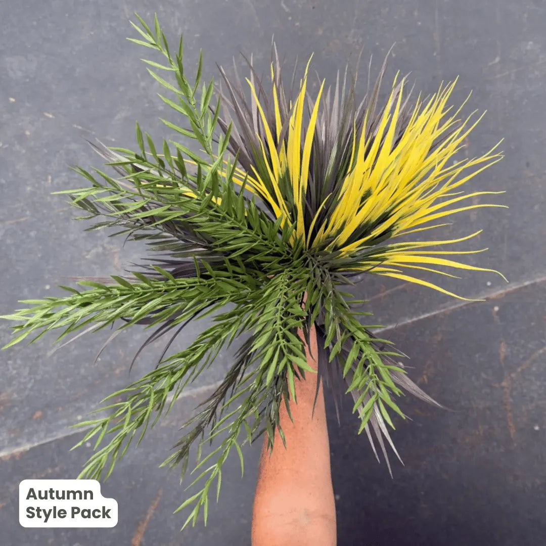 Premium Autumn | Evergreen Walls