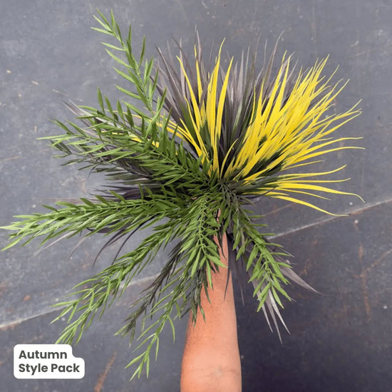 Premium Autumn | Evergreen Walls