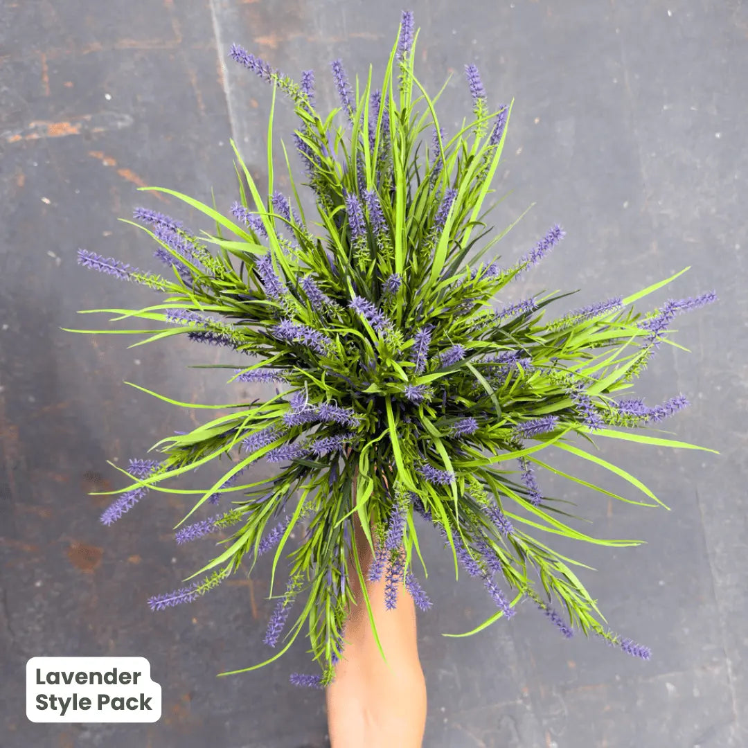 Premium Lavender | Evergreen Walls