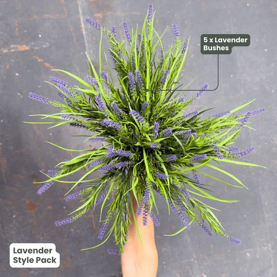 Premium Lavender | Evergreen Walls