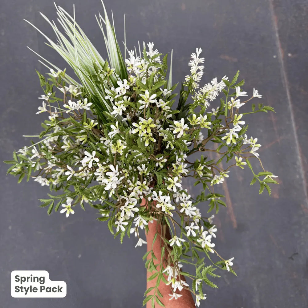 Premium Spring | Evergreen Walls