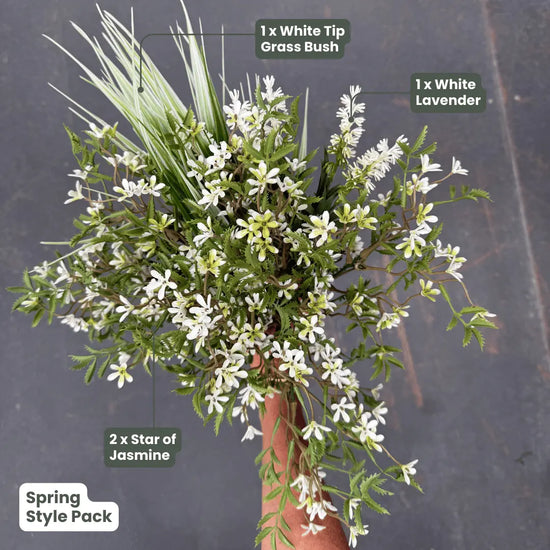 Premium Spring | Evergreen Walls