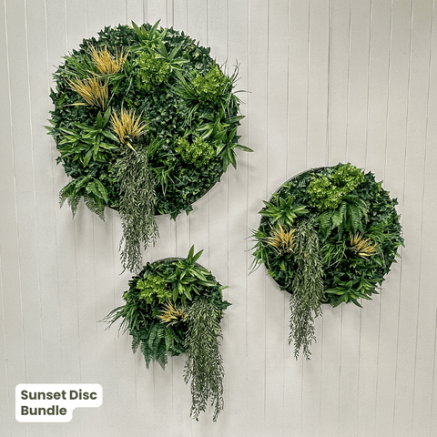 Evergreen Signature Disc Collection | Evergreen Walls