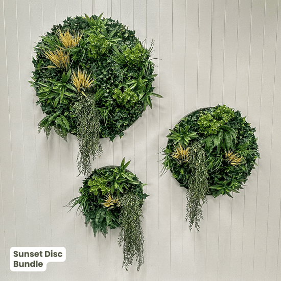 Evergreen Signature Disc Collection | Evergreen Walls