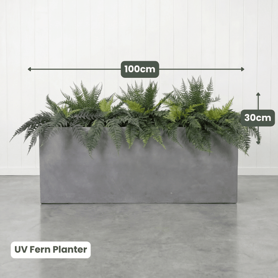 UV Planter Bundles | Evergreen Walls