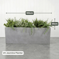 UV Planter Bundles | Evergreen Walls