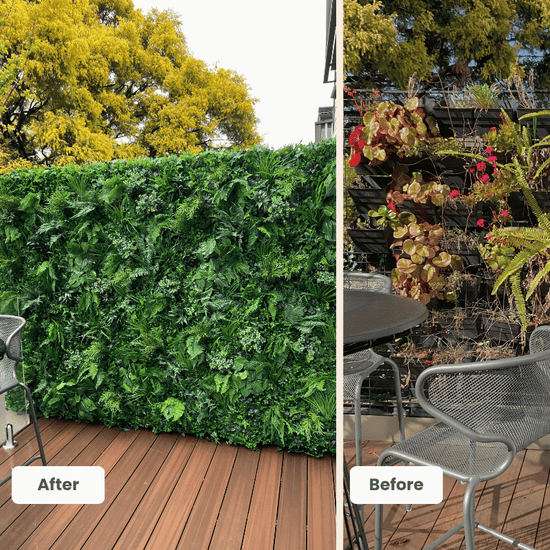 Urban Deluxe | Evergreen Walls
