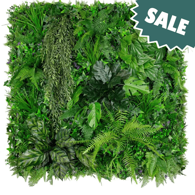 Urban Rainforest - indoor Sale
