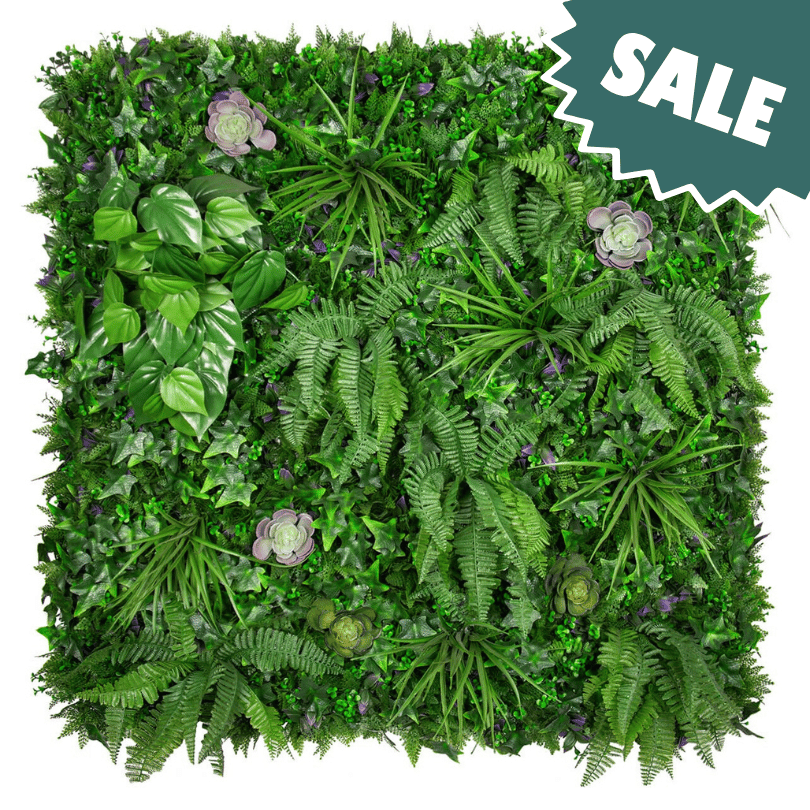 Urban Succulent Sale