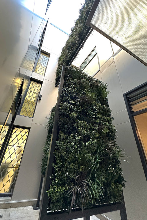 Evergreen Premium | Evergreen Walls