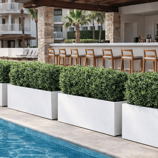 Lightweight Reinforced Trough Pot | White | Evergreen Walls