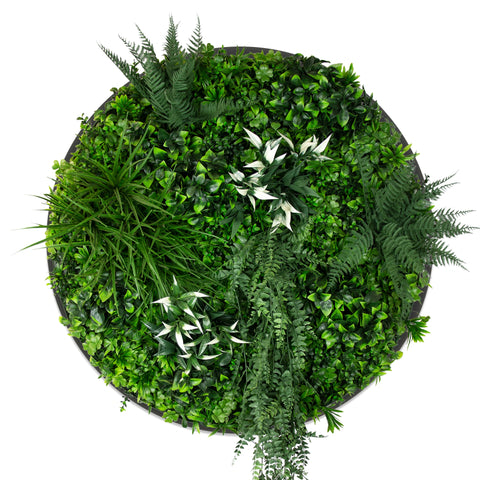 Garden Disc