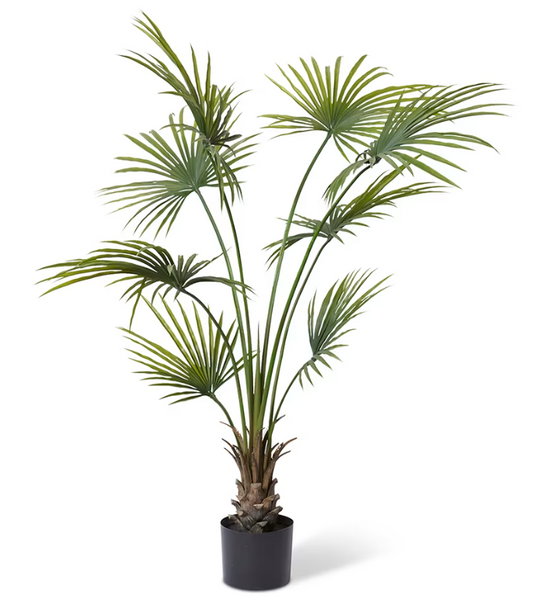 Kwai Palm UV | Evergreen Walls