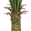 Baby Kentia Palm UV 95cm - Evergreen Walls