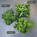 Bestsellers Sample Pack - Evergreen Walls