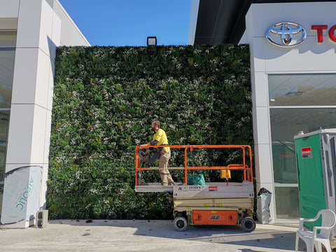 Evergreen Premium | Evergreen Walls