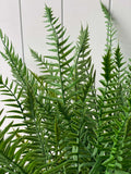 Boston Fern Ruffle Bush (UV) 52cm - Evergreen Walls