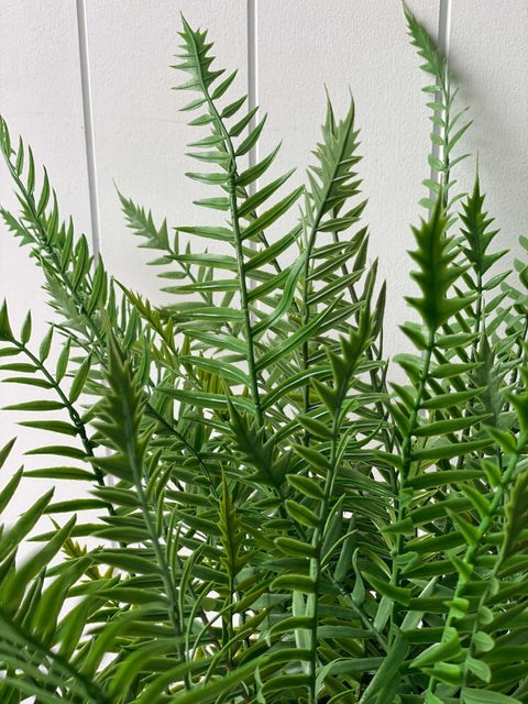 Boston Fern Ruffle Bush (UV) 52cm - Evergreen Walls