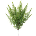 Boston Fern Ruffle Bush (UV) 52cm - Evergreen Walls