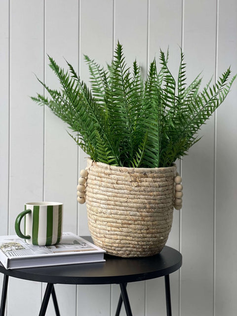 Boston Fern Ruffle Bush (UV) 52cm - Evergreen Walls
