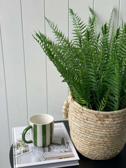Boston Fern Ruffle Bush (UV) 52cm - Evergreen Walls
