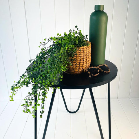 Button Fern Hanging Pot (UV) - Evergreen Walls