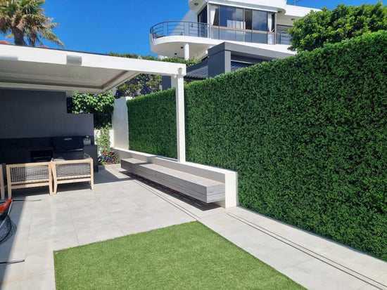 Classic Boxwood - Evergreen Walls