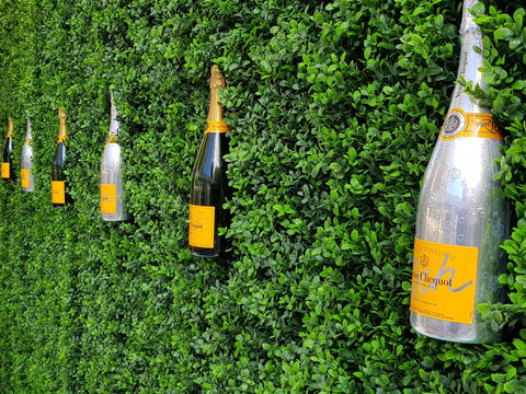 Classic Boxwood - Evergreen Walls